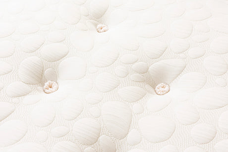 La Romantica Memory Ortho Mattress